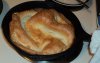 Yorkies_in_cast_iron_frypan.JPG