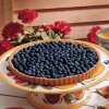 blueberry tart.jpg