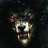 Whitewolf2578