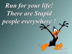 608caaa71123bcf4d1e54167067db1fc.jpg