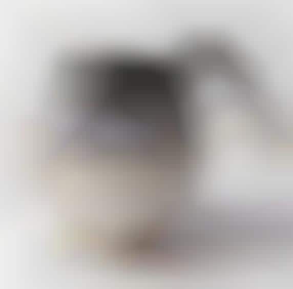 100091_1_800.jpeg