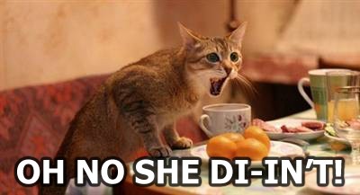 www.lolcats.com___lolcatsdotcomph1bn8ragyuj06jp.jpg
