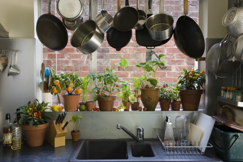 Saucepans-hanging-over-sink-against-potted-plants-on-window-sill-in-domestic-kitchen-min-e1443807883551.jpg