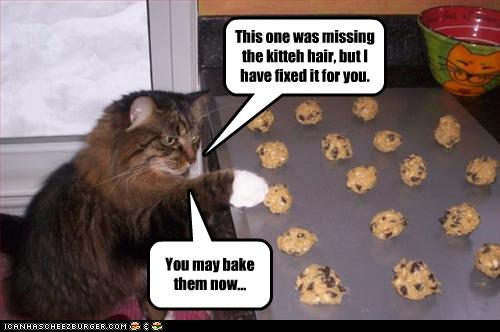 cookies-need-cat-hair.jpg